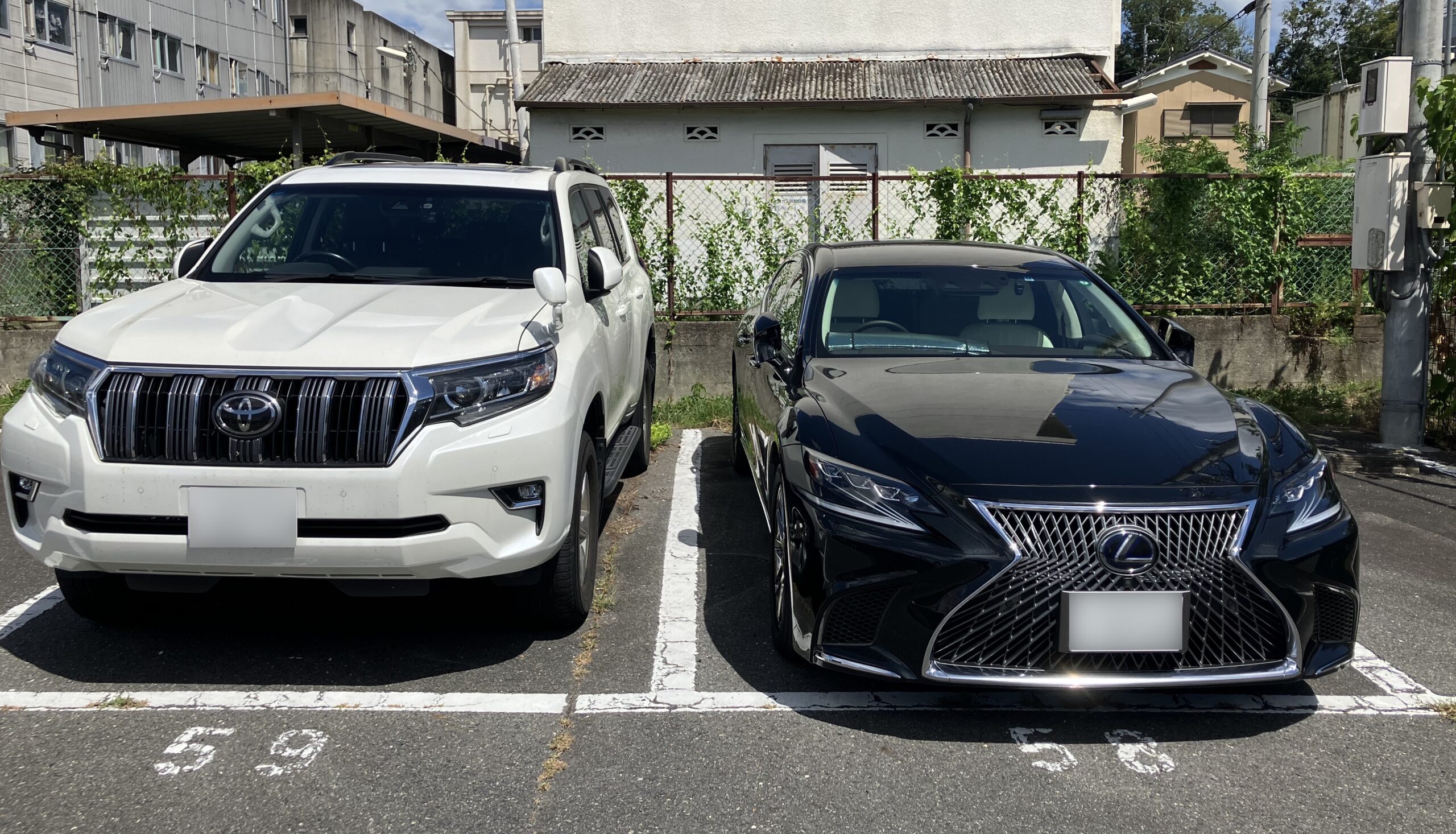 駐車場に並ぶレクサスLSとランドクルーザープラドの車体サイズ比較